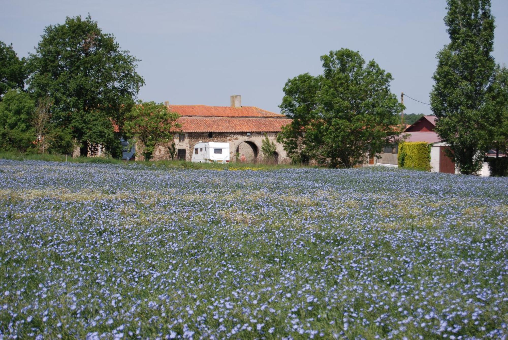 D'hote Manoir De La Baudonniere Holiday home