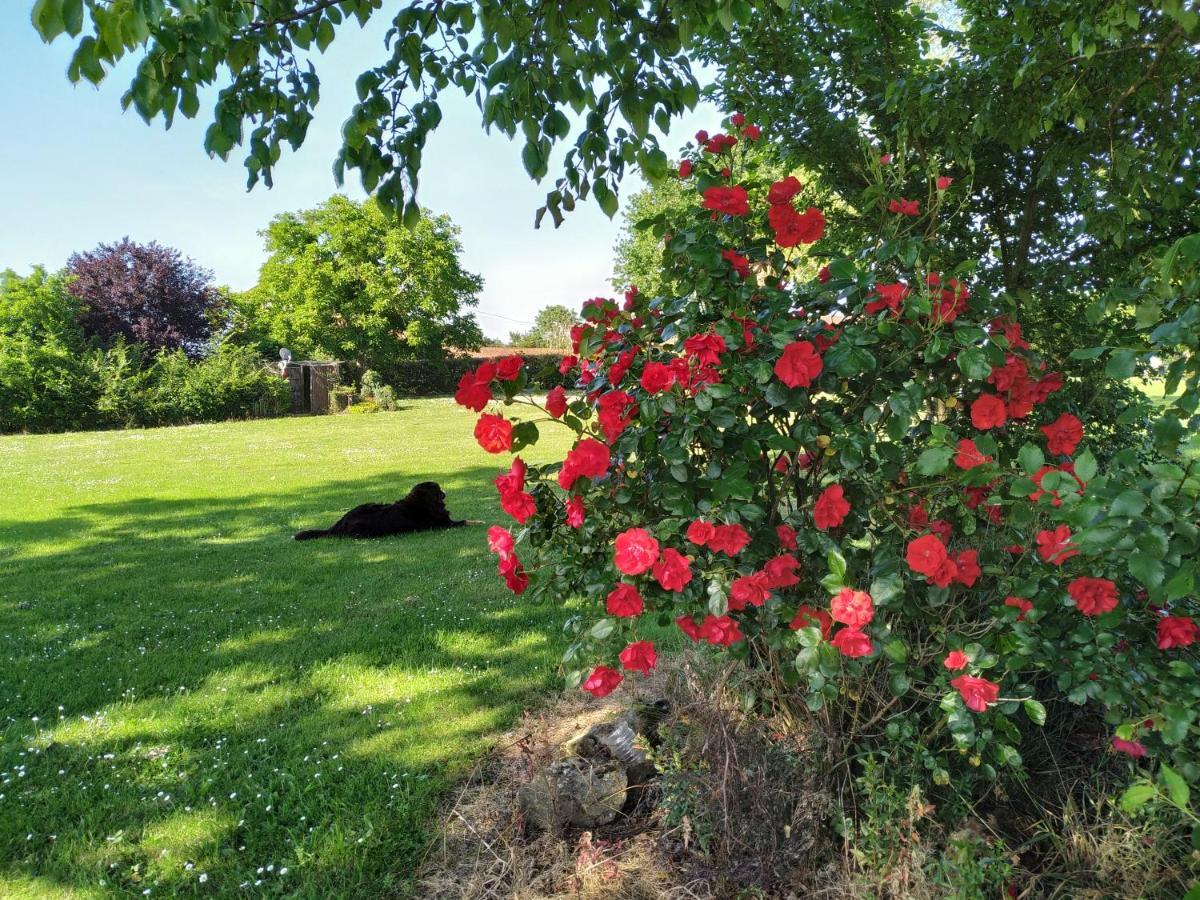 D'hote Manoir De La Baudonniere Holiday home Monsireigne